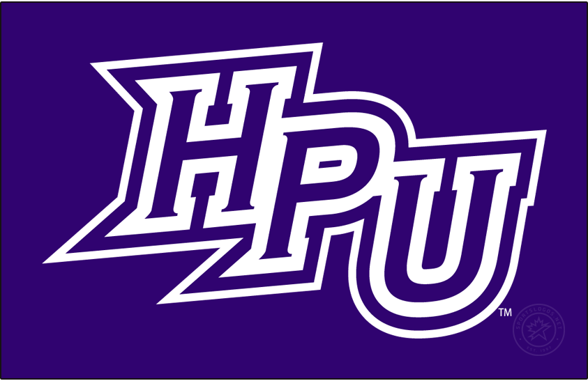 High Point Panthers 2012-Pres Primary Dark Logo t shirts iron on transfers
